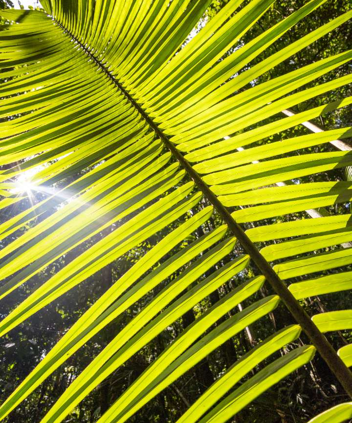 goSsdPZN2h35D3YhLWis