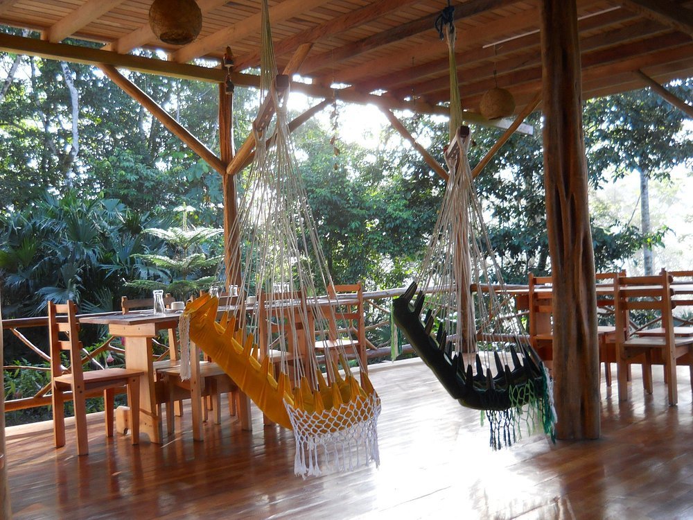 gorgeous-wood-outdoor