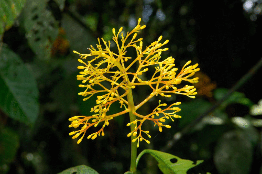 hgbsc5KdOZsR6LfFQfel