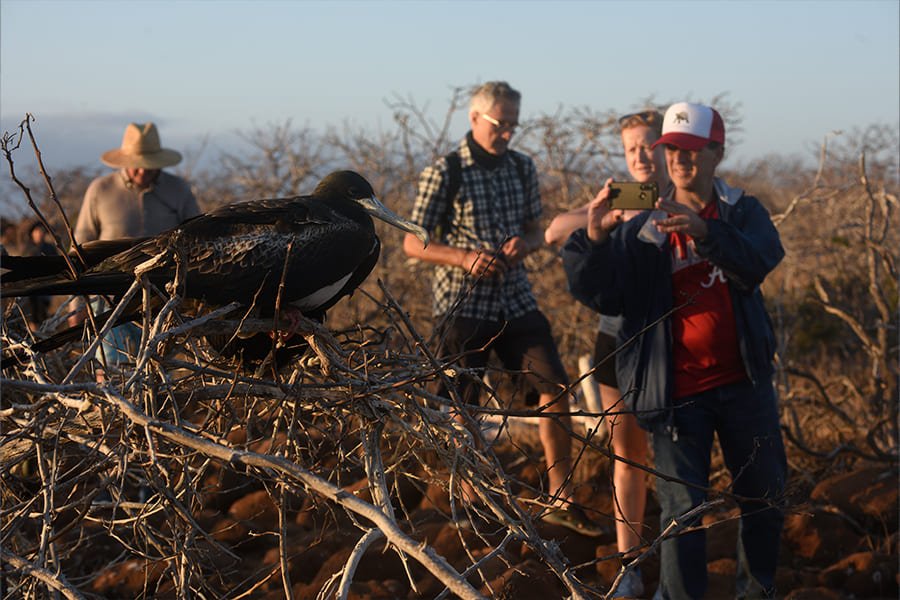 hiking2-galaxy-sirius