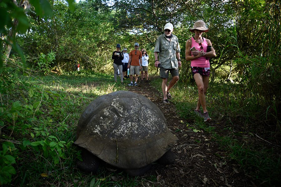 hiking3-alya-catamaran
