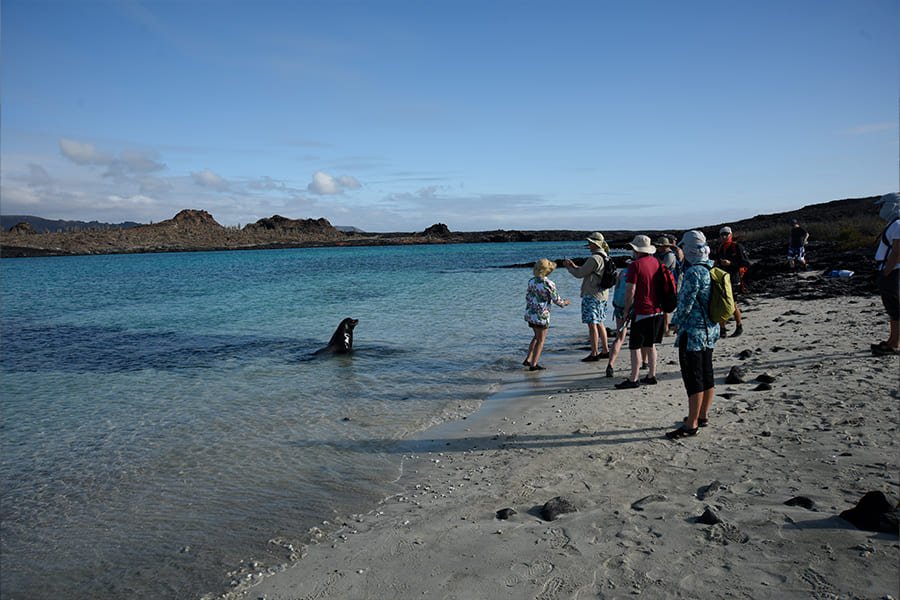 hiking4-galaxy-sirius