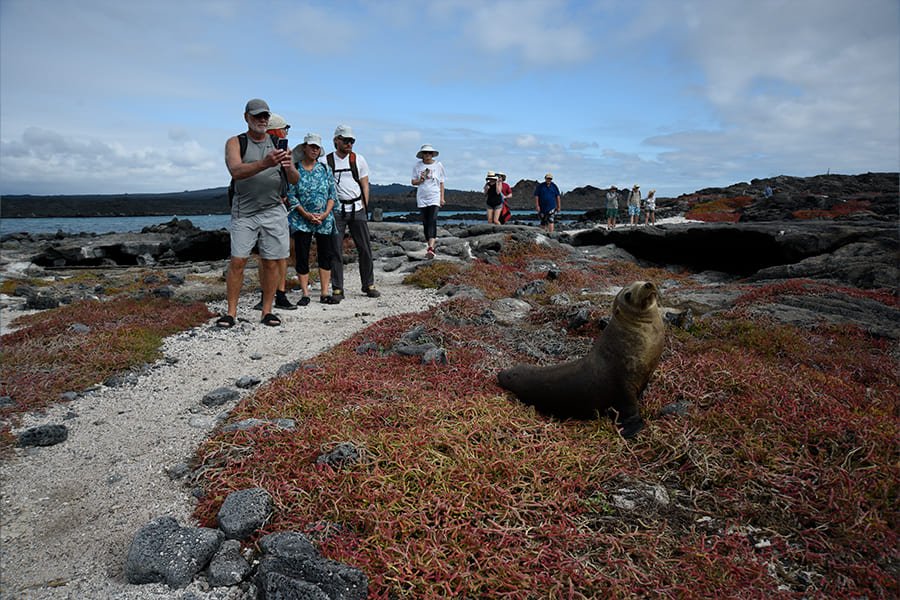 hiking5-galaxy-sirius