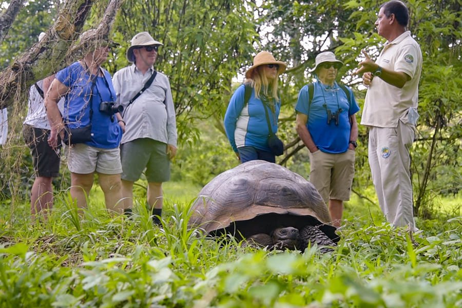 hiking7-galaxy-yacht