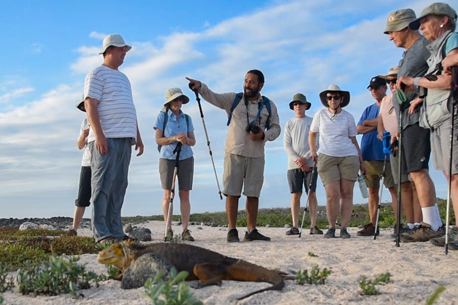 hiking9-galaxy-yacht