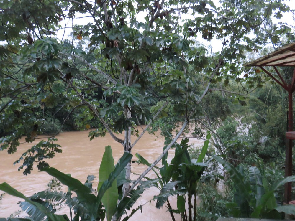 itamandi-ecolodge (11)