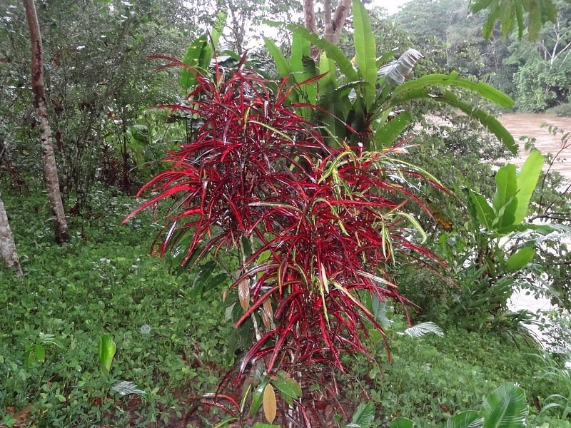 itamandi-ecolodge (12)