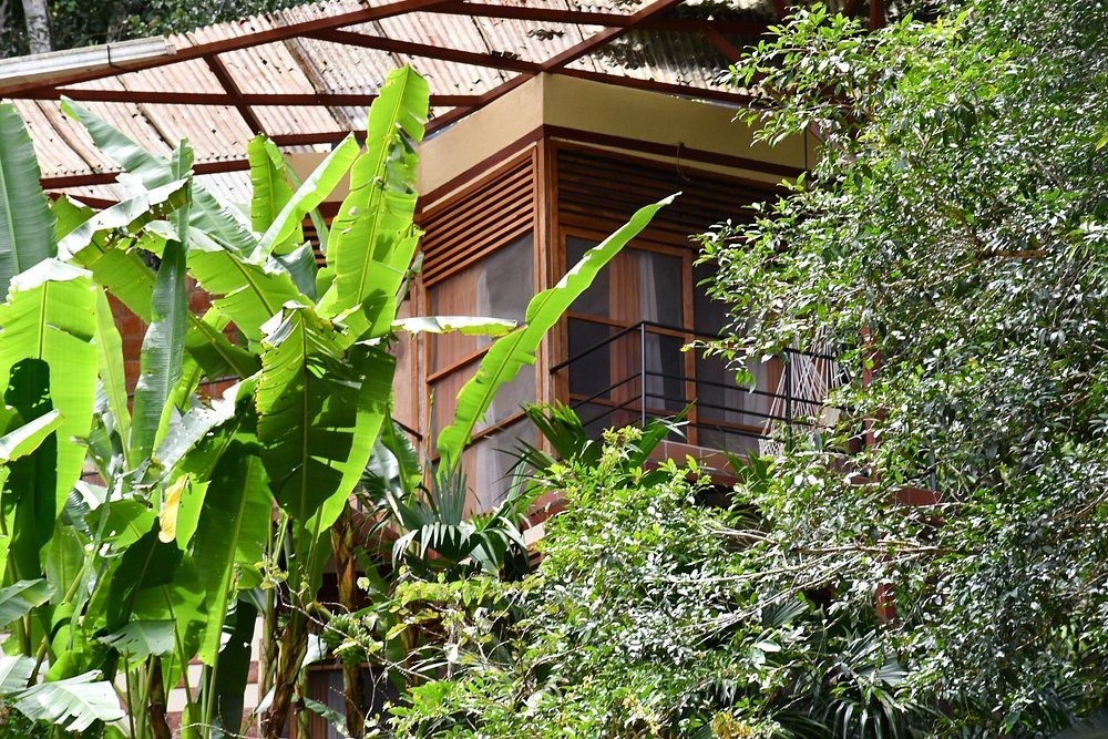 itamandi-ecolodge (13)