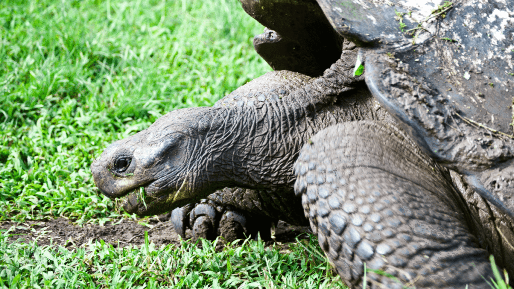 itinerario-a-1-1-1200x675