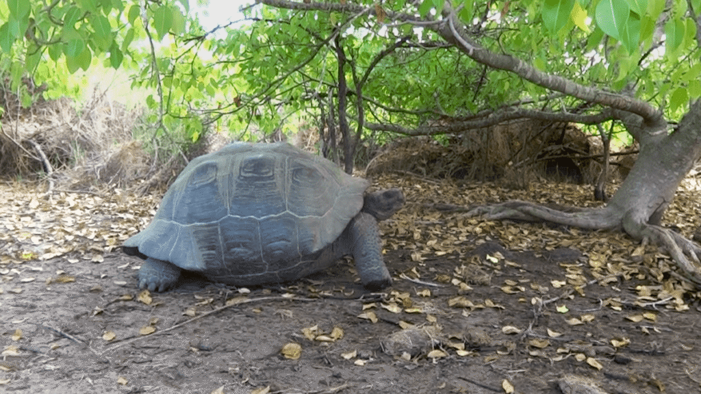 itinerario-a-1-1-1200x675