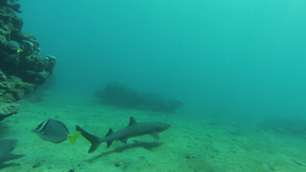 itinerario-a-2-1200x675