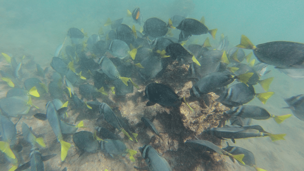 itinerario-a-2-1200x675