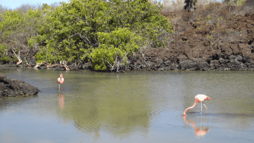 itinerario-a-3-1200x675