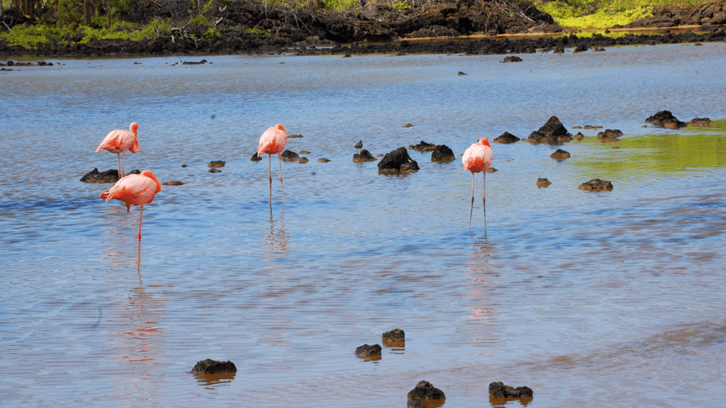 itinerario-a-3-1200x675