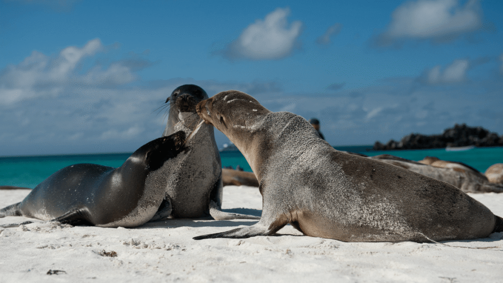 itinerario-a-4-1200x675