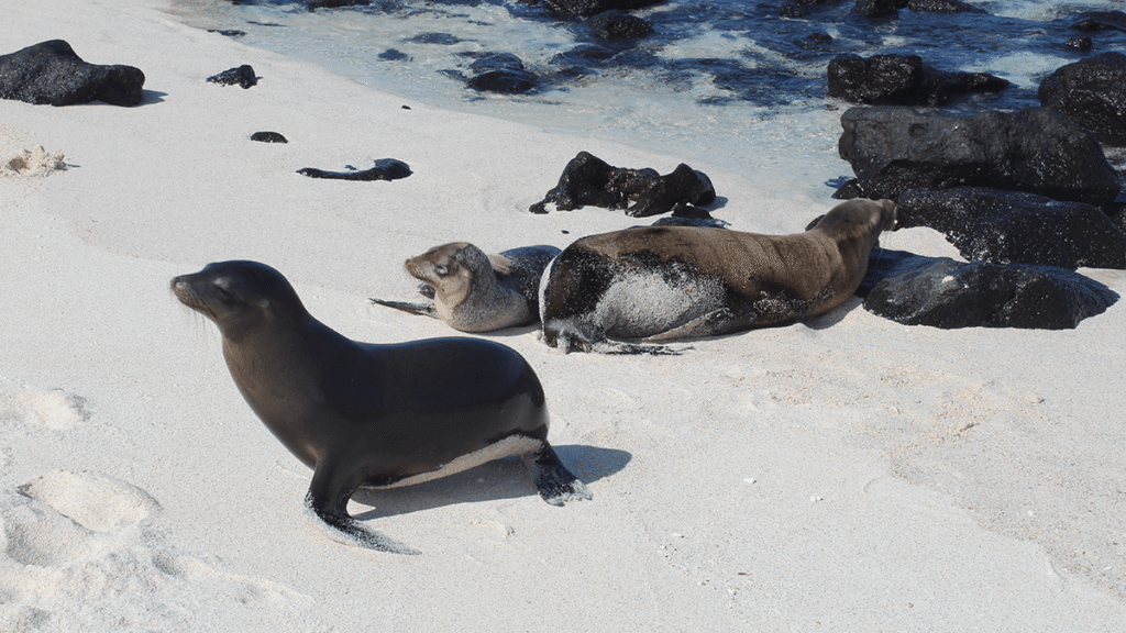 itinerario-a-4-1200x675