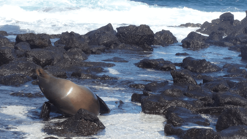 itinerario-b-1-1200x675