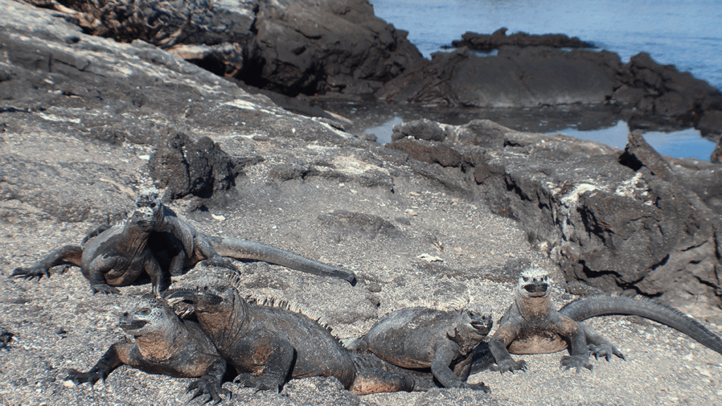 itinerario-b-3-1200x675