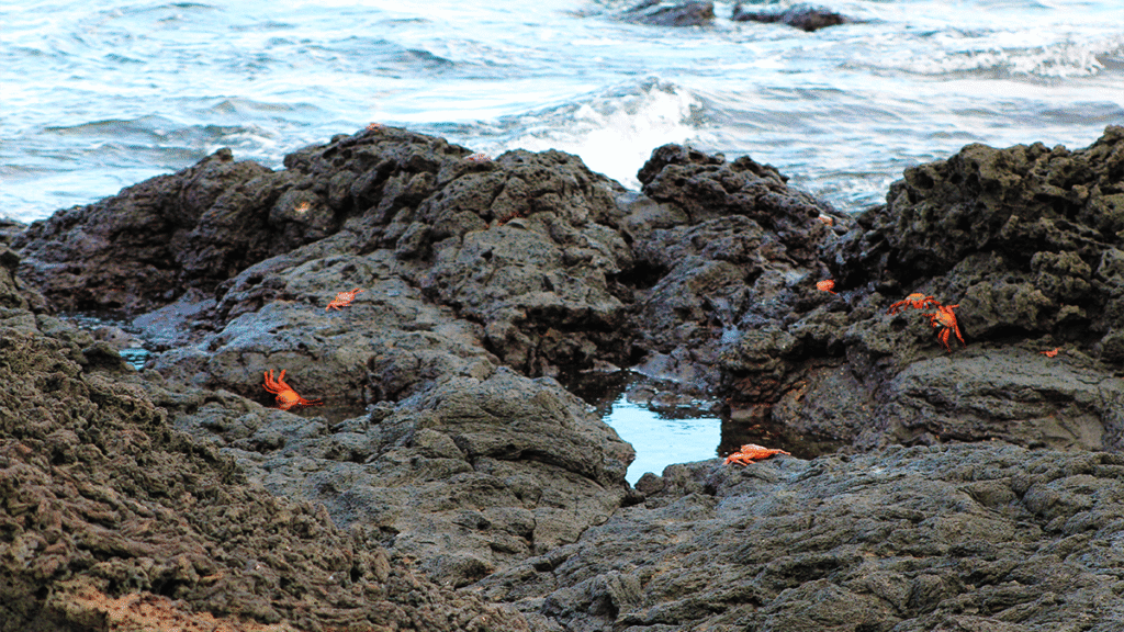 itinerario-b-4-1200x675