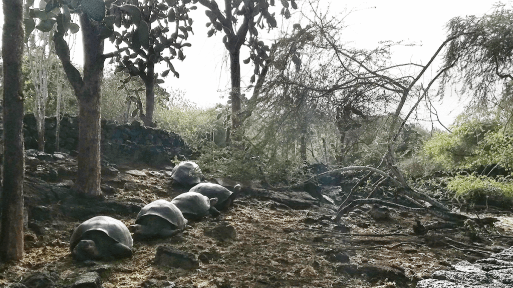 itinerario-b-5-1200x675