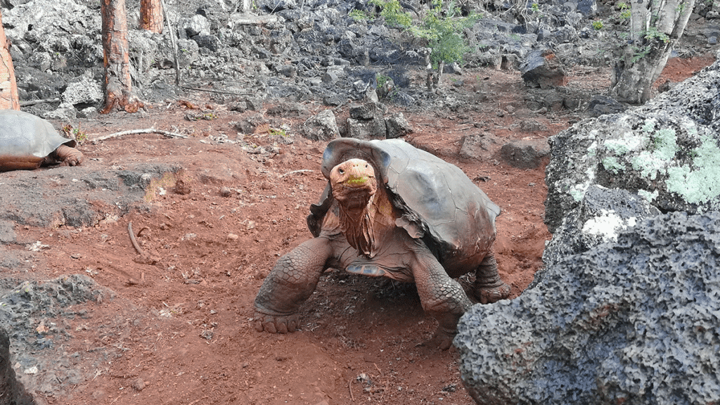 itinerario-b-5-1200x675