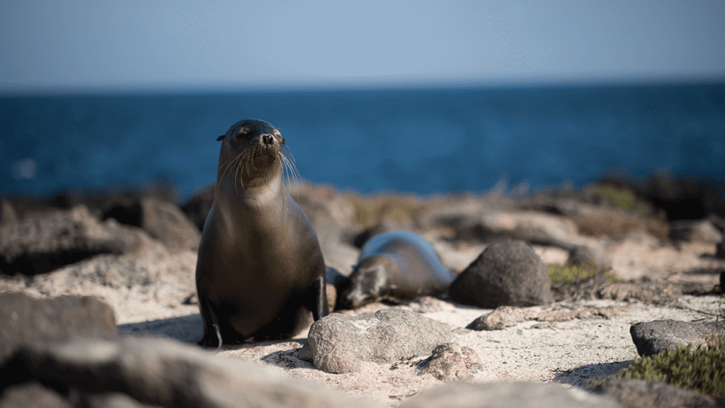 itinerario-c-1-1200x675