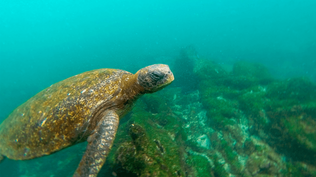 itinerario-c-1-1200x675