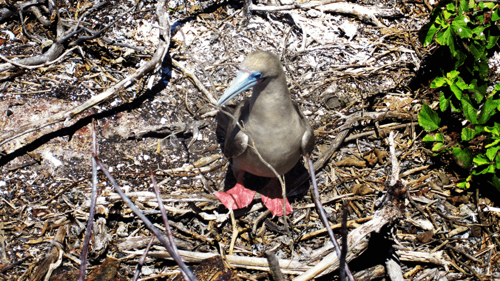 itinerario-c-2-1200x675