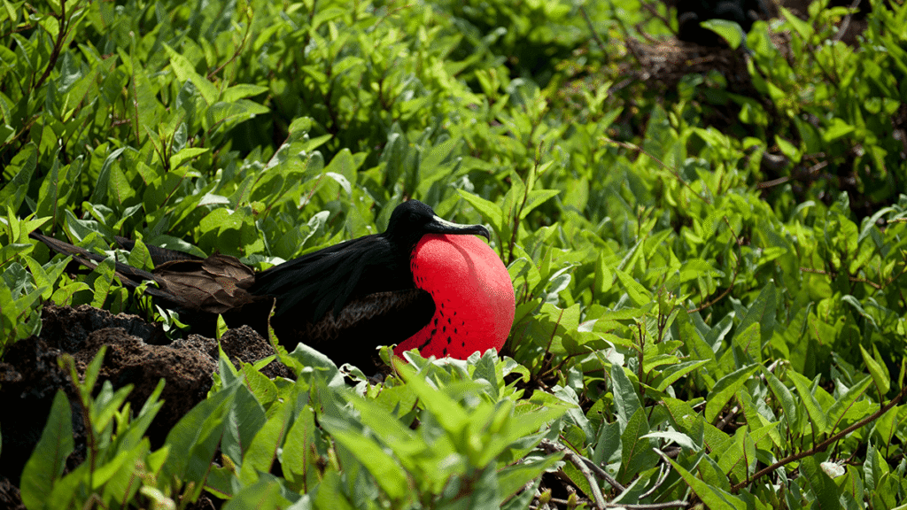 itinerario-c-2-1200x675