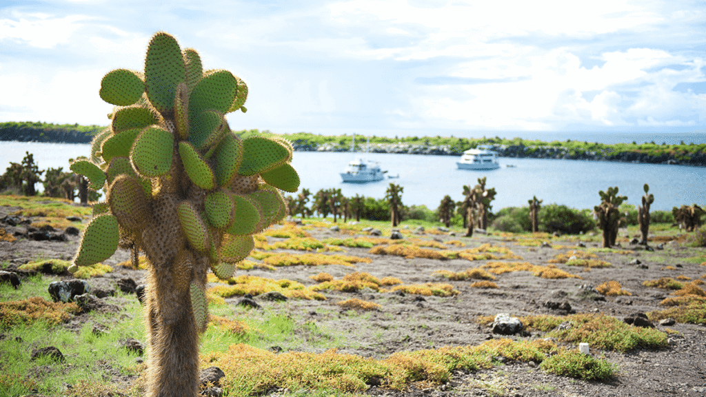 itinerario-c-4-1200x675