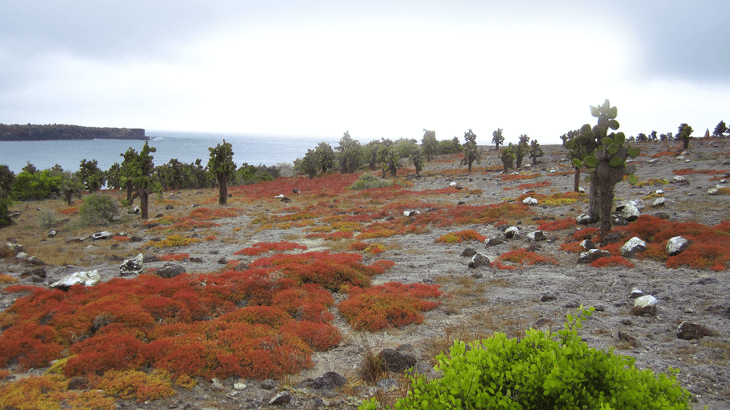 itinerario-c-4-1200x675