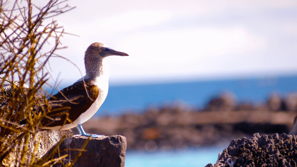 itinerario-c-5-1200x675