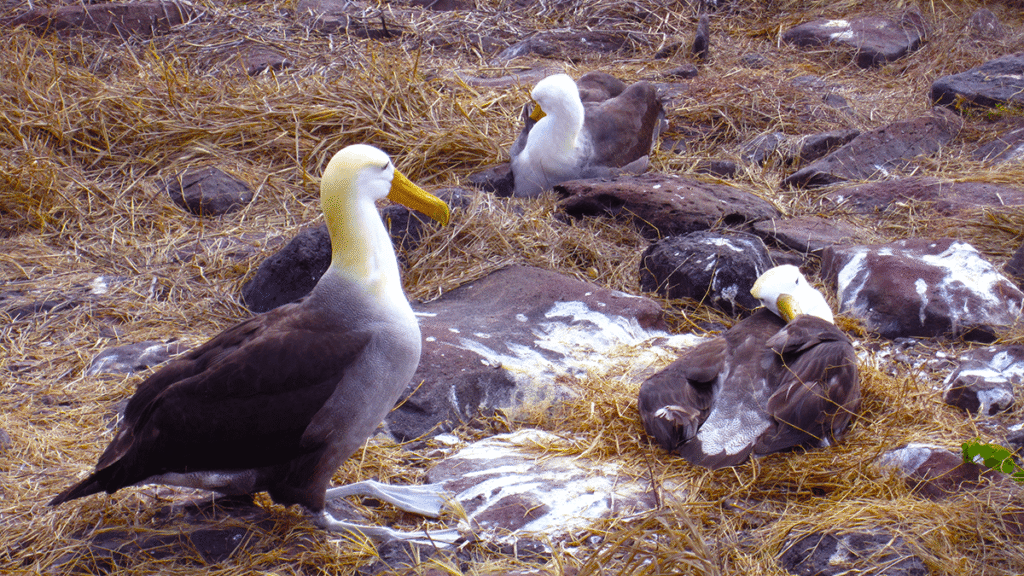 itinerario-c-6-1200x675