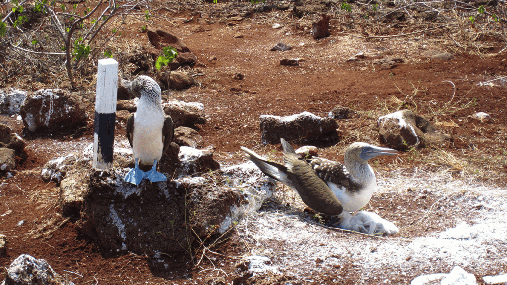 itinerario-c-6-e1551328134564-1200x675