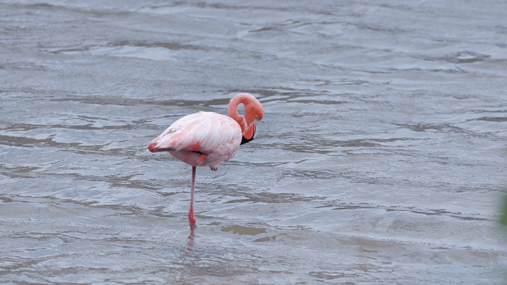 itinerario-c-7-1200x675