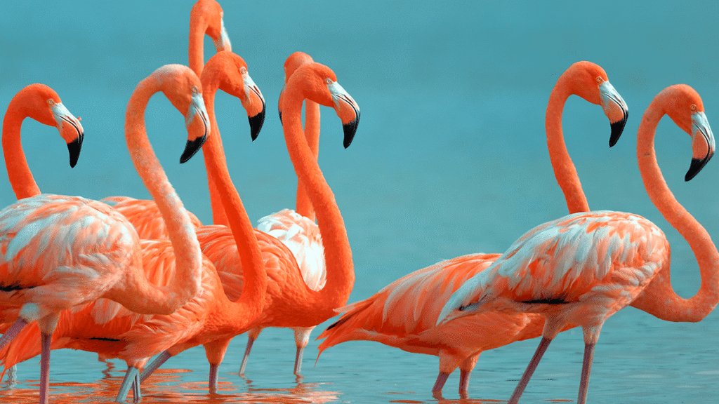 itinerario-c-7-1200x675