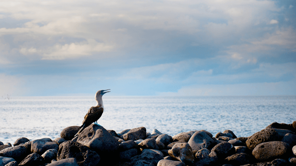 itinerario-c-8-1200x675