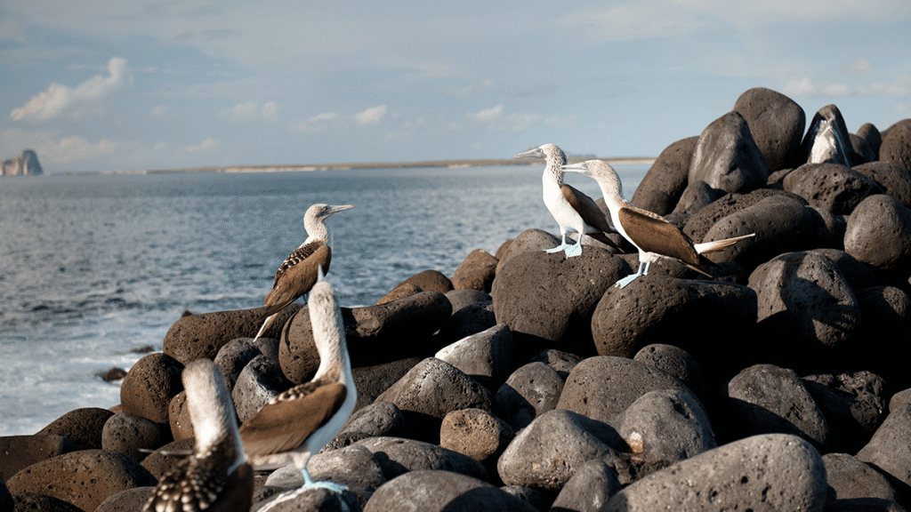 itinerario-c-8-1200x675