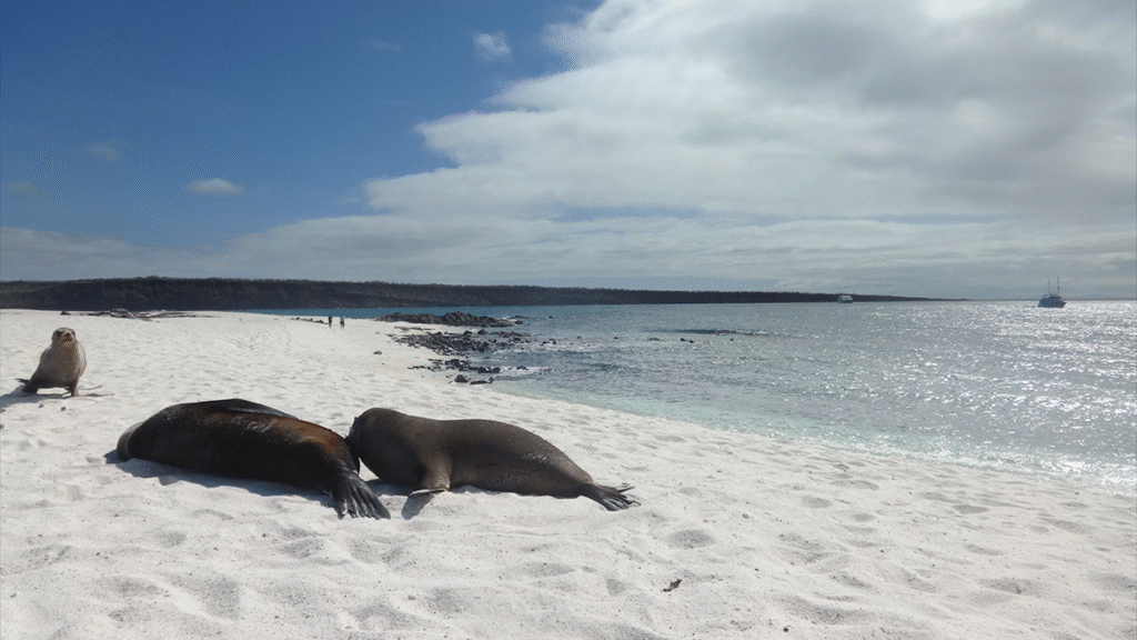 itinerario-d-1-1200x675