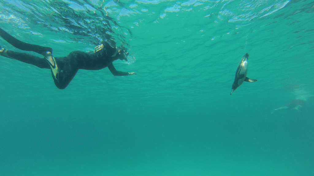 itinerario-d-1-1200x675