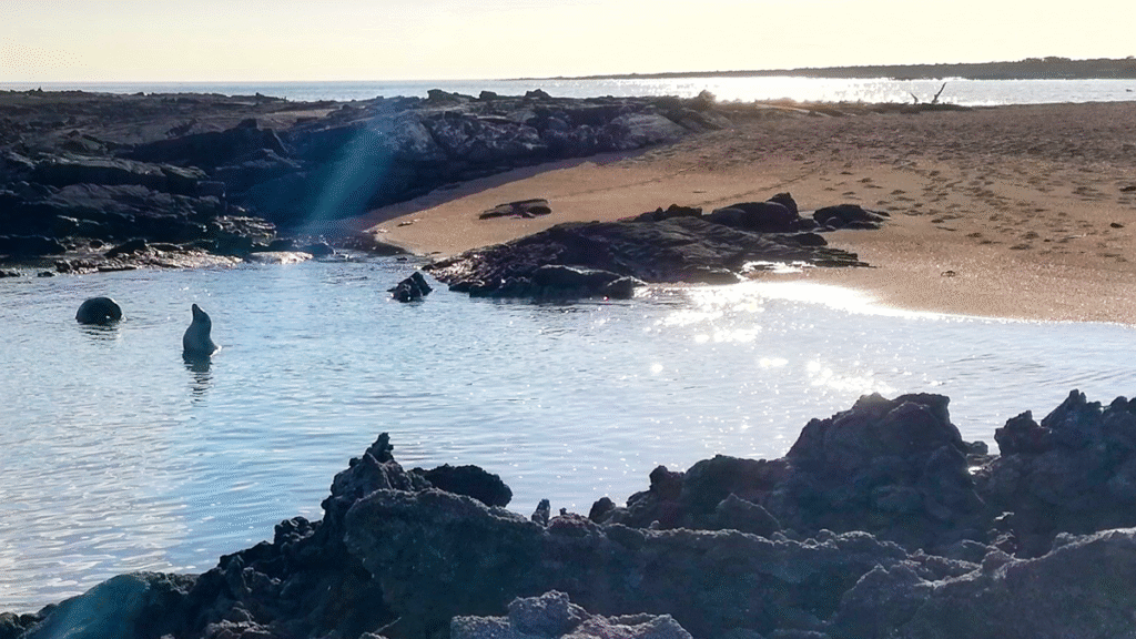 itinerario-d-2-1200x675