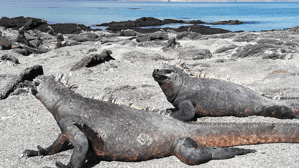 itinerario-d-2-1200x675