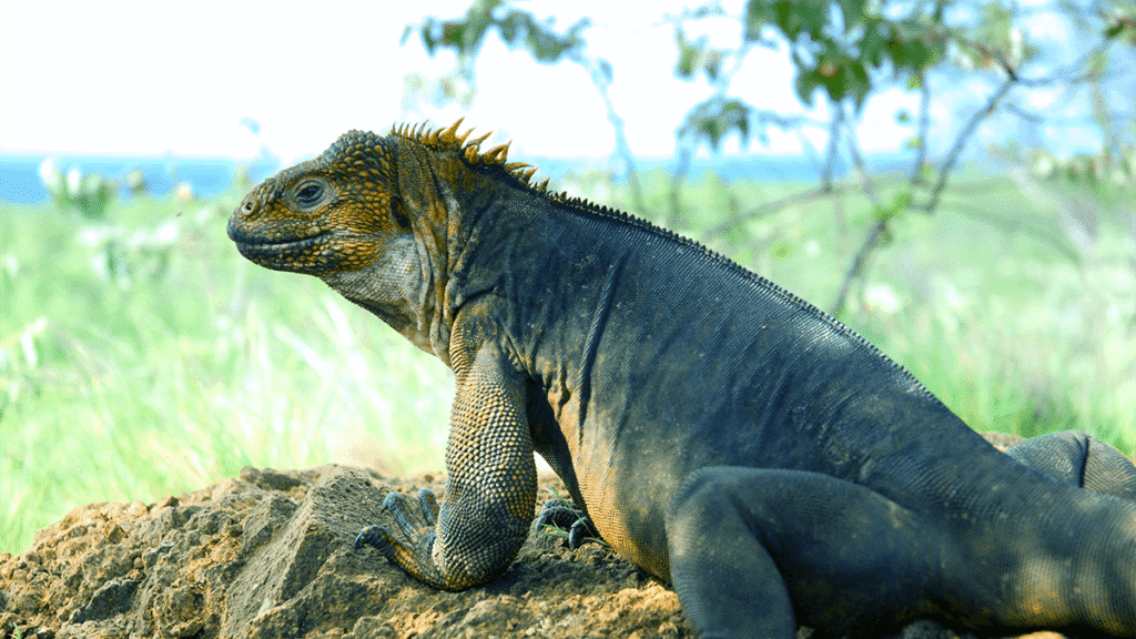 itinerario-d-3-1200x675