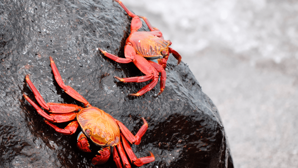 itinerario-d-4-1200x675