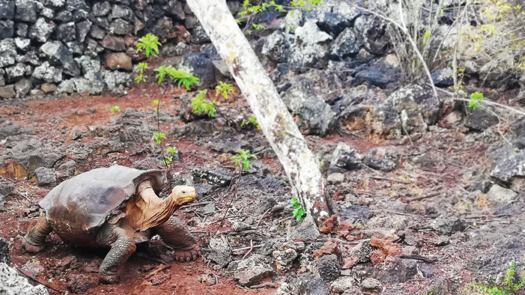 itinerario-d-5-1200x675