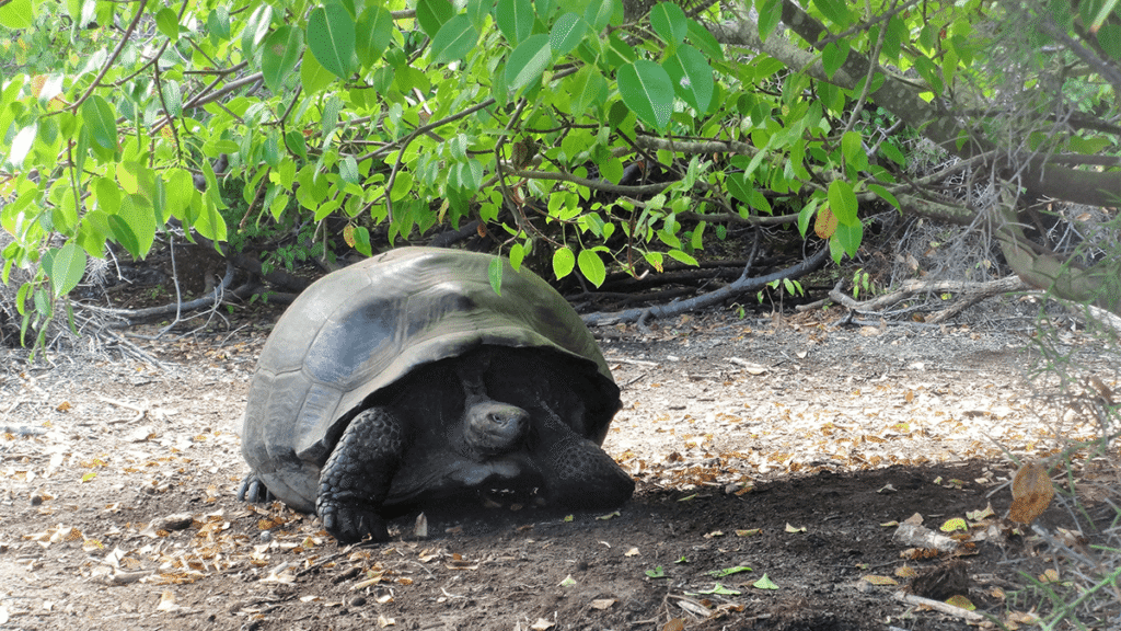 itinerario-d-5-e1551357069372-1200x675