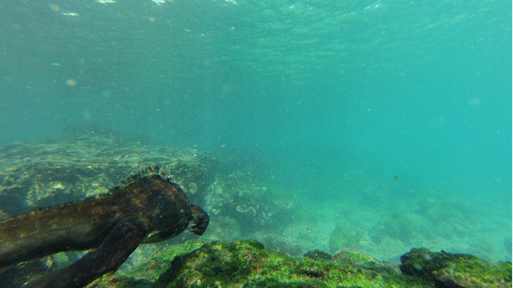 itinerario-d-6-1200x675