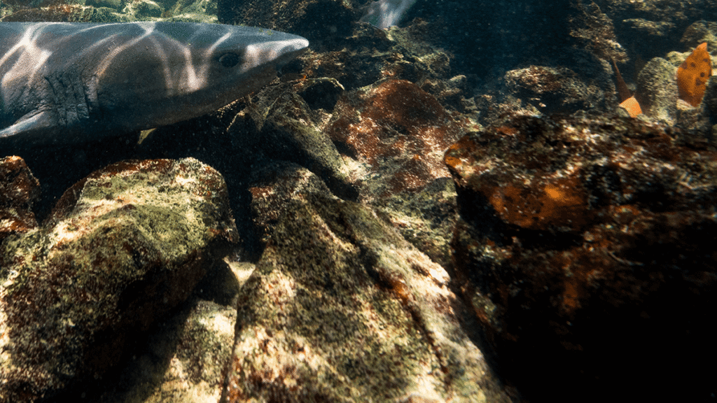 itinerario-d-6-1200x675