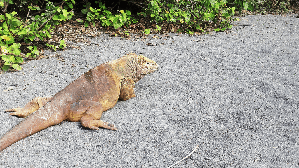 itinerario-d-7-1200x675