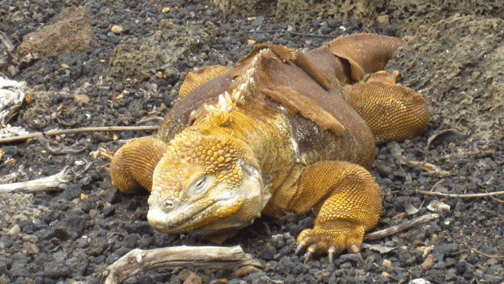 itinerario-d-7-1200x675